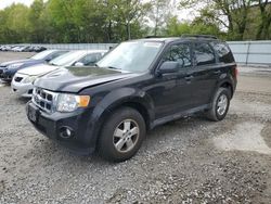 Salvage cars for sale at North Billerica, MA auction: 2011 Ford Escape XLT