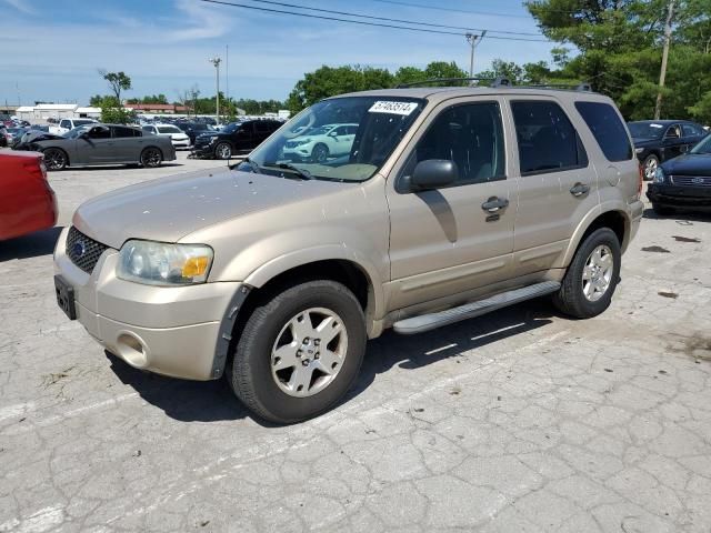 2007 Ford Escape XLT