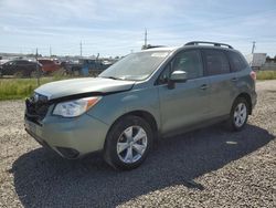 Salvage cars for sale at Eugene, OR auction: 2015 Subaru Forester 2.5I Premium