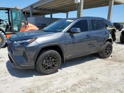 Salvage cars for sale at West Palm Beach, FL auction: 2024 Toyota Rav4 XLE