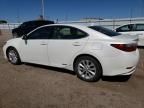 2013 Lexus ES 300H