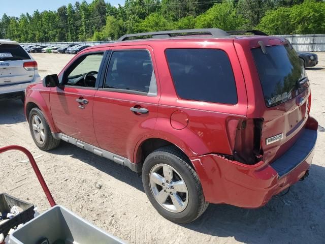 2009 Ford Escape XLT