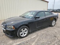 Hail Damaged Cars for sale at auction: 2012 Dodge Charger SE