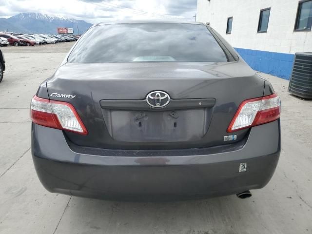 2009 Toyota Camry Hybrid