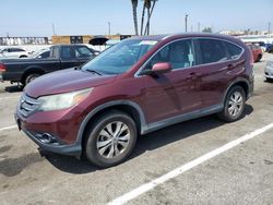 Honda cr-v exl salvage cars for sale: 2014 Honda CR-V EXL