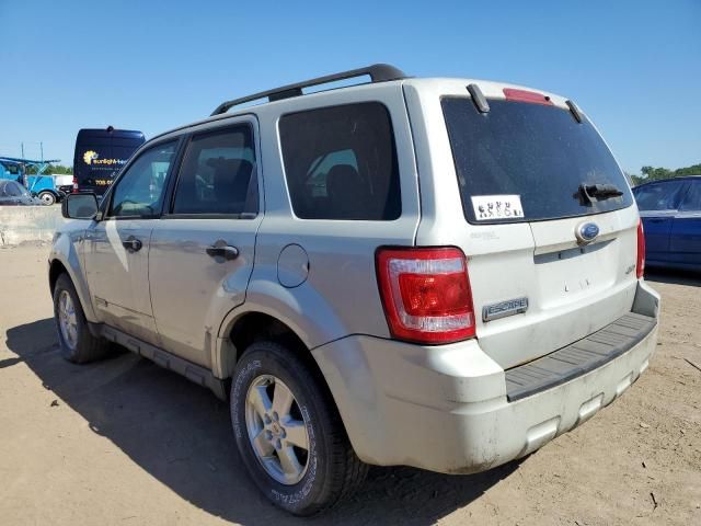 2008 Ford Escape XLT