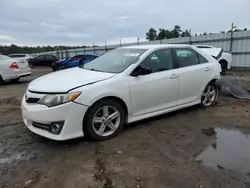 Salvage cars for sale at Harleyville, SC auction: 2014 Toyota Camry L