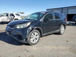 Salvage cars for sale at Albuquerque, NM auction: 2013 Honda CR-V EX
