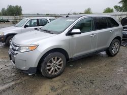 Salvage cars for sale at Arlington, WA auction: 2013 Ford Edge SEL