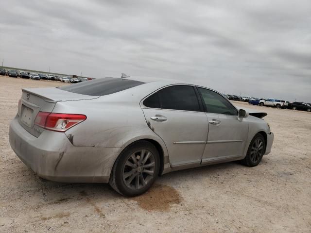 2010 Lexus ES 350