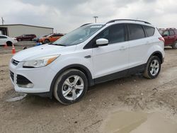 Salvage cars for sale at Temple, TX auction: 2014 Ford Escape SE