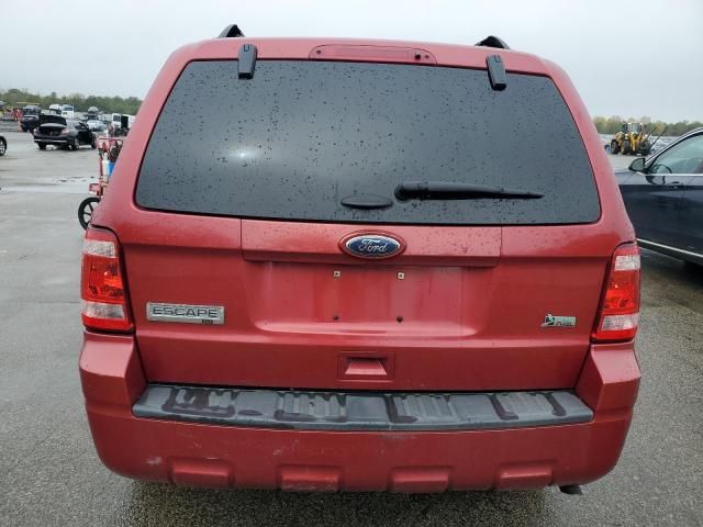 2012 Ford Escape XLT