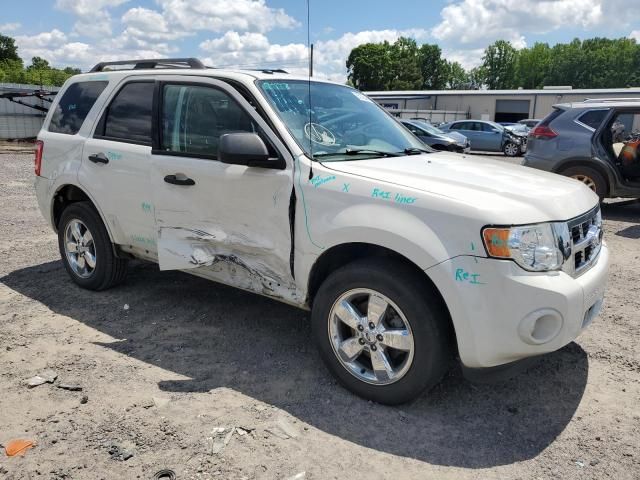 2010 Ford Escape XLT