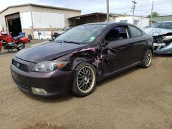 Salvage cars for sale at New Britain, CT auction: 2008 Scion TC
