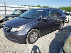 Salvage cars for sale at Louisville, KY auction: 2016 Honda Odyssey SE