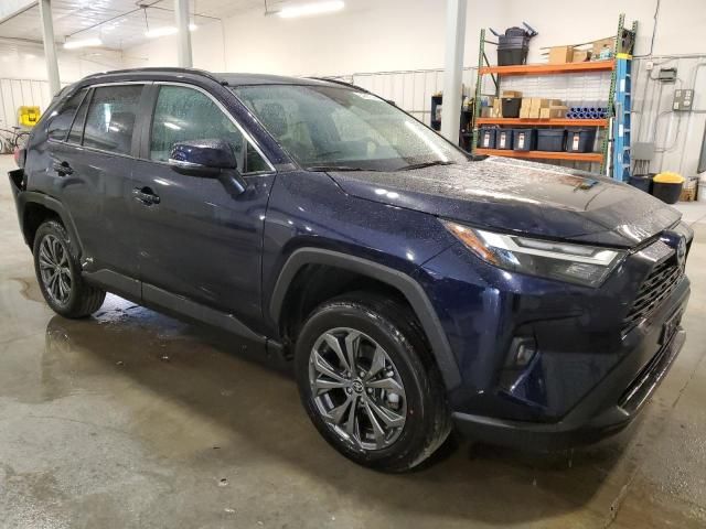 2024 Toyota Rav4 XLE Premium