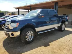 Ford f150 Supercrew Vehiculos salvage en venta: 2013 Ford F150 Supercrew