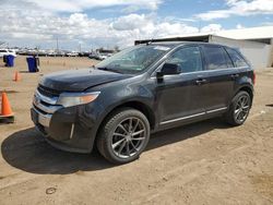 Salvage cars for sale at Brighton, CO auction: 2011 Ford Edge Limited