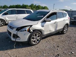 Salvage cars for sale at Lawrenceburg, KY auction: 2015 Ford Escape Titanium