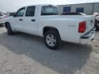 2011 Dodge Dakota SLT