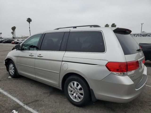 2008 Honda Odyssey EXL