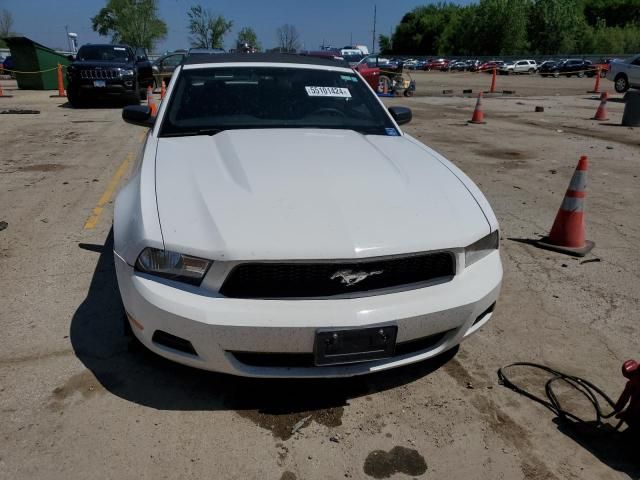 2010 Ford Mustang