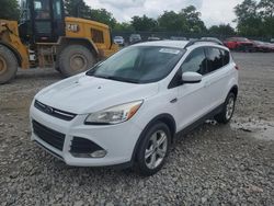 Salvage cars for sale at Madisonville, TN auction: 2014 Ford Escape SE