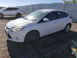 Salvage cars for sale at Greenwood, NE auction: 2012 Ford Focus SE