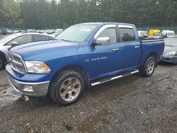 Dodge Vehiculos salvage en venta: 2011 Dodge RAM 1500