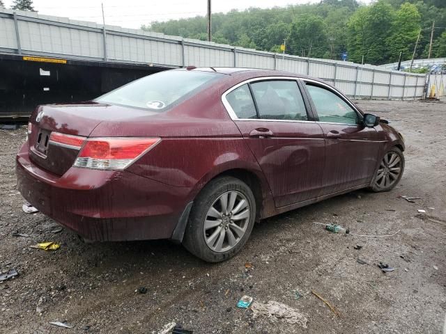 2011 Honda Accord EXL