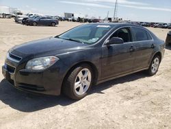 Salvage cars for sale at Amarillo, TX auction: 2012 Chevrolet Malibu LS