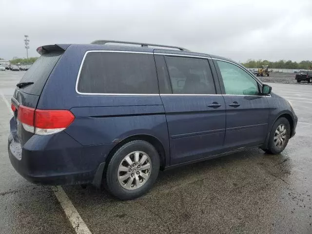 2008 Honda Odyssey EXL