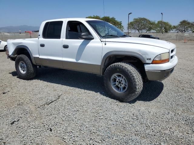 2000 Dodge Dakota Quattro