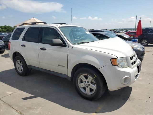 2009 Ford Escape Hybrid