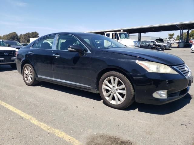 2010 Lexus ES 350