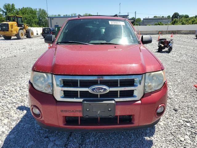 2010 Ford Escape XLT