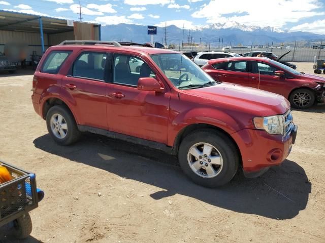 2009 Ford Escape XLS