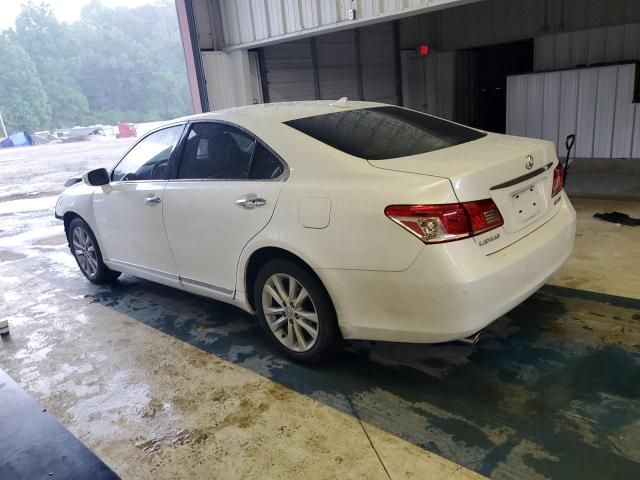 2010 Lexus ES 350