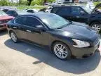 2009 Nissan Maxima S