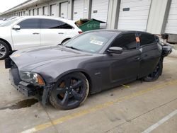 Dodge Vehiculos salvage en venta: 2014 Dodge Charger R/T