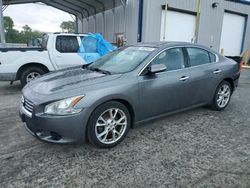 Salvage cars for sale at Lebanon, TN auction: 2014 Nissan Maxima S