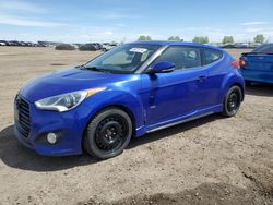 Salvage cars for sale at Rocky View County, AB auction: 2014 Hyundai Veloster Turbo