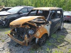 Salvage cars for sale at Marlboro, NY auction: 2019 KIA Soul +