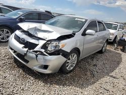 Toyota salvage cars for sale: 2010 Toyota Corolla Base