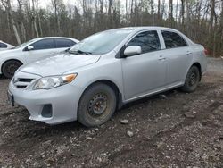 Salvage cars for sale from Copart Bowmanville, ON: 2011 Toyota Corolla Base