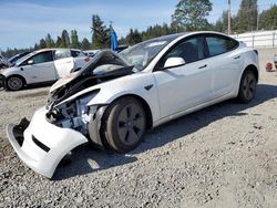 Salvage cars for sale from Copart Graham, WA: 2023 Tesla Model 3