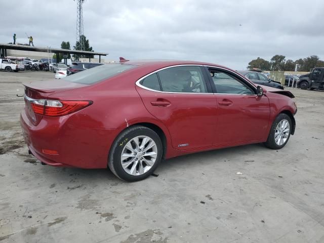 2013 Lexus ES 300H