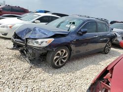 Salvage cars for sale at New Braunfels, TX auction: 2016 Honda Accord EX