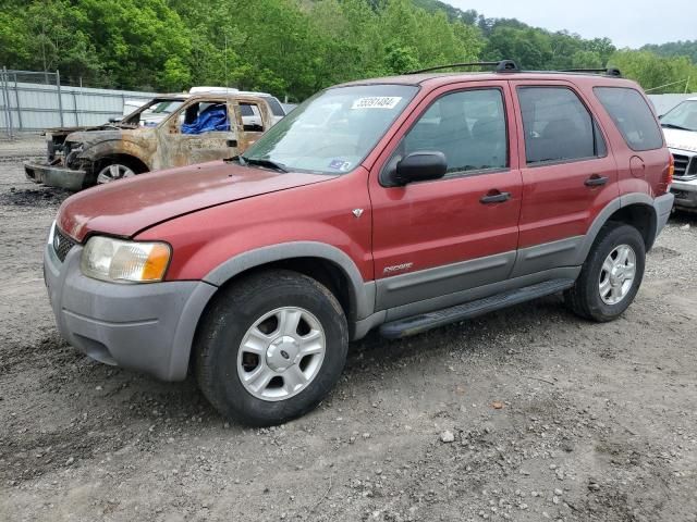 2001 Ford Escape XLT