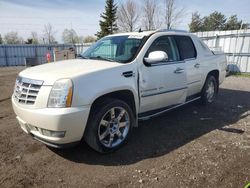 Salvage trucks for sale at Bowmanville, ON auction: 2008 Cadillac Escalade EXT
